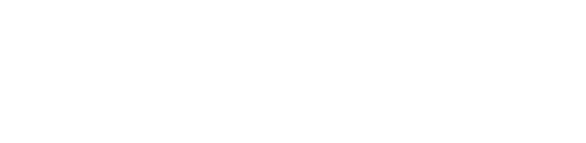 Brand Pyton